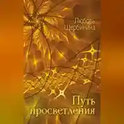 Постер книги Путь просветления