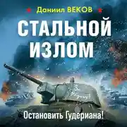 Постер книги Стальной излом. Остановить Гудериана!