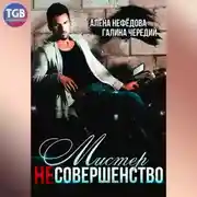 Постер книги Мистер Несовершенство
