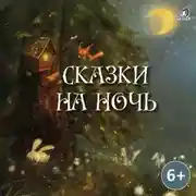 Постер книги Сказки на ночь