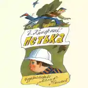 Постер книги Петька