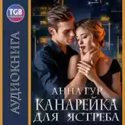 Постер книги Канарейка для ястреба