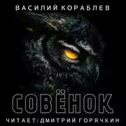 Постер книги Совенок
