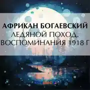 Постер книги Ледяной поход. Воспоминания 1918 г.
