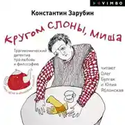 Постер книги Кругом слоны, Миша