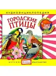 Автор Неизвестен - Городские птицы