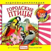 Постер книги Городские птицы