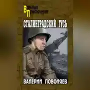 Постер книги Сталинградский гусь