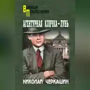 Постер книги Агентурная кличка – Лунь (сборник)