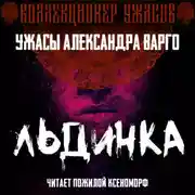 Постер книги Льдинка