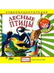 Автор Неизвестен - Лесные птицы