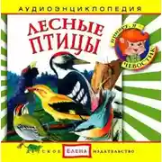 Постер книги Лесные птицы