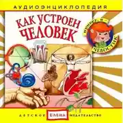 Постер книги Как устроен человек