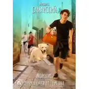 Постер книги Морские приключения Трисона