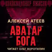 Постер книги Аватар бога