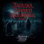 Постер книги Загадка старого кладбища