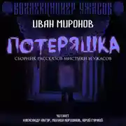 Постер книги Потеряшка