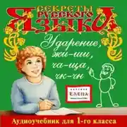 Постер книги Ударение. Жи-Ши, Ча-Ща, Чк-Чн