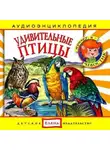 Автор Неизвестен - Удивительные птицы