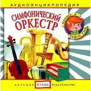 Постер книги Симфонический оркестр
