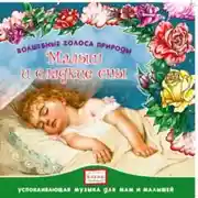 Постер книги Малыш и сладкие сны