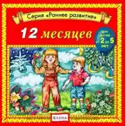 Постер книги 12 месяцев