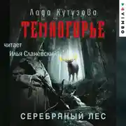 Постер книги Темногорье. Серебряный лес