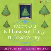Постер книги Параллельные миры