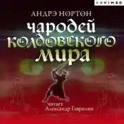 Постер книги Чародей Колдовского мира
