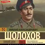 Постер книги Тихий Дон (Часть 3)