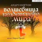 Постер книги Волшебница Колдовского мира