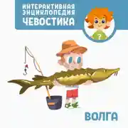Постер книги Волга