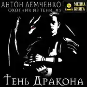 Постер книги Тень Дракона