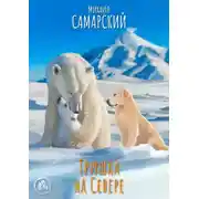 Постер книги Тришка на Севере