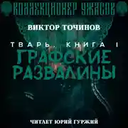 Постер книги Графские развалины