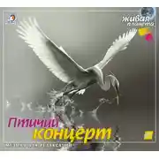 Постер книги Птичий концерт