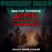 Постер книги Дорога к Мертвой горе, или Снова о группе Дятлова