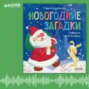 Постер книги Новогодние загадки