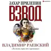 Постер книги Взвод. Офицеры и ополченцы русской литературы. «За нами горы тел кровавых» Майор Владимир Раевский