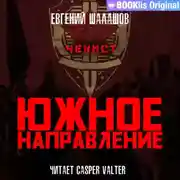 Постер книги Чекист. Южное направление