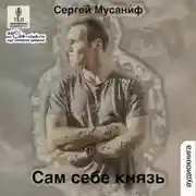 Постер книги Сам себе князь