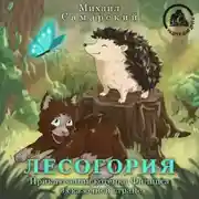 Постер книги Лесогория. Приключения котёнка Филипса в сказочной стране