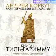 Постер книги Книга 1. Тиль Гаримму