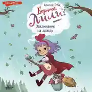 Постер книги Заклинание на дождь