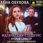 Постер книги Магический спецкурс. Второй семестр