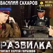 Постер книги Развилка