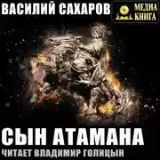 Постер книги Сын атамана