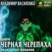 Постер книги Черная черепаха