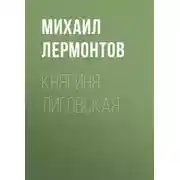 Постер книги Княгиня Лиговская
