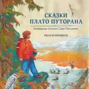 Постер книги Сказки плато Путорана